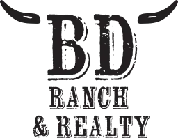 BD Realty