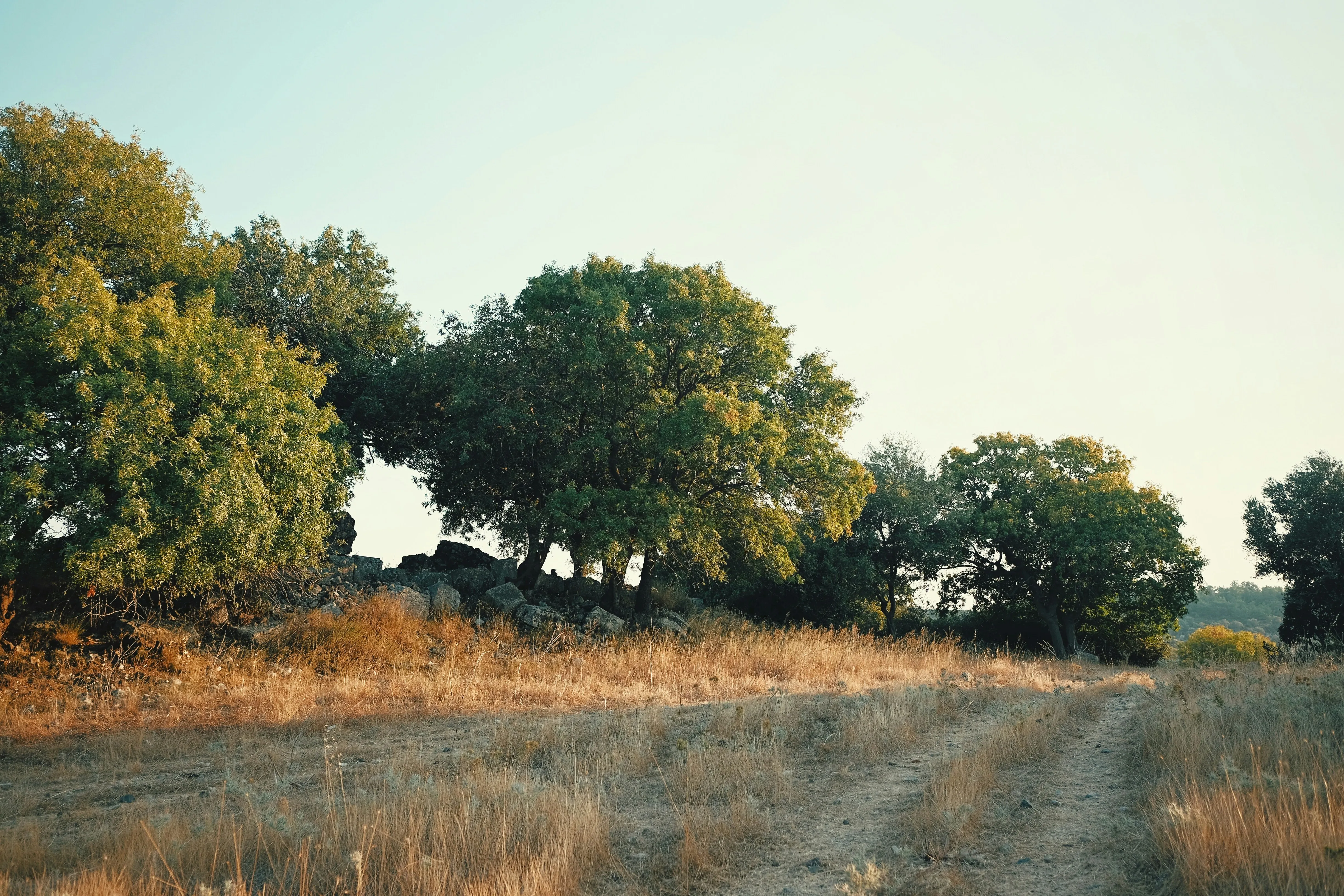 Infrastructure development